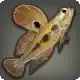 Mudskipper icon