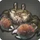 Mitten Crab icon
