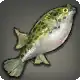 Spotted Puffer icon