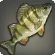 White Oil Perch icon