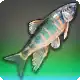 Beguiler Chub icon