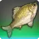 Carp Diem icon