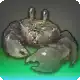 Mud Golem icon
