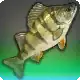 The Ewer King icon