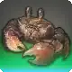 Exterminator icon