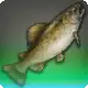 Joan of Trout icon