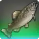 Starbright icon