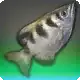 The Drowned Sniper icon