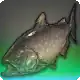 Giant Takitaro icon