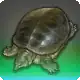 Ndendecki icon