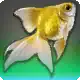 Imperial Goldfish icon