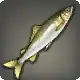 Sweetfish icon