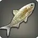 Cloudfish icon
