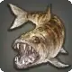 Br'aaxfish icon