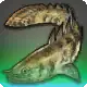 The Dreamweaver icon