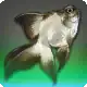 Inkfish icon