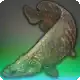 Aphotic Pirarucu icon