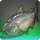 Twin-tongued Carp icon