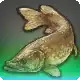 Paikiller icon