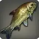 Doman Grass Carp icon