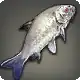 Silken Koi icon