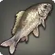 Nogoi icon