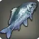 Custodian Carp icon
