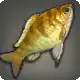 Golden Cichlid icon