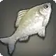 Abalathian Bitterling icon