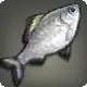 Steelshark icon