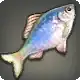 Common Bitterling icon