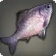 Tao Bitterling icon