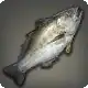 Ruby Meagre icon