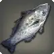 Midnight Carp icon