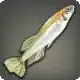 Killifish icon