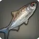 River Barramundi icon