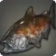 Cherry Salmon icon