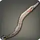 Snipe Eel icon