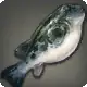Crow Puffer icon