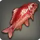 Red Prismfish icon