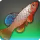 Sapphire Fan icon