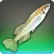 Princess Killifish icon