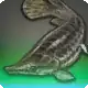 Duskfish icon