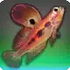 Blade Skipper icon