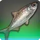 Glarramundi icon