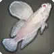 Rabbit Skipper icon