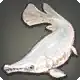 Albino Garfish icon