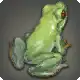 Grade 4 Skybuilders' Toad icon