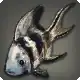 Wimple Carp icon