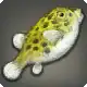 Honeycomb Fish icon